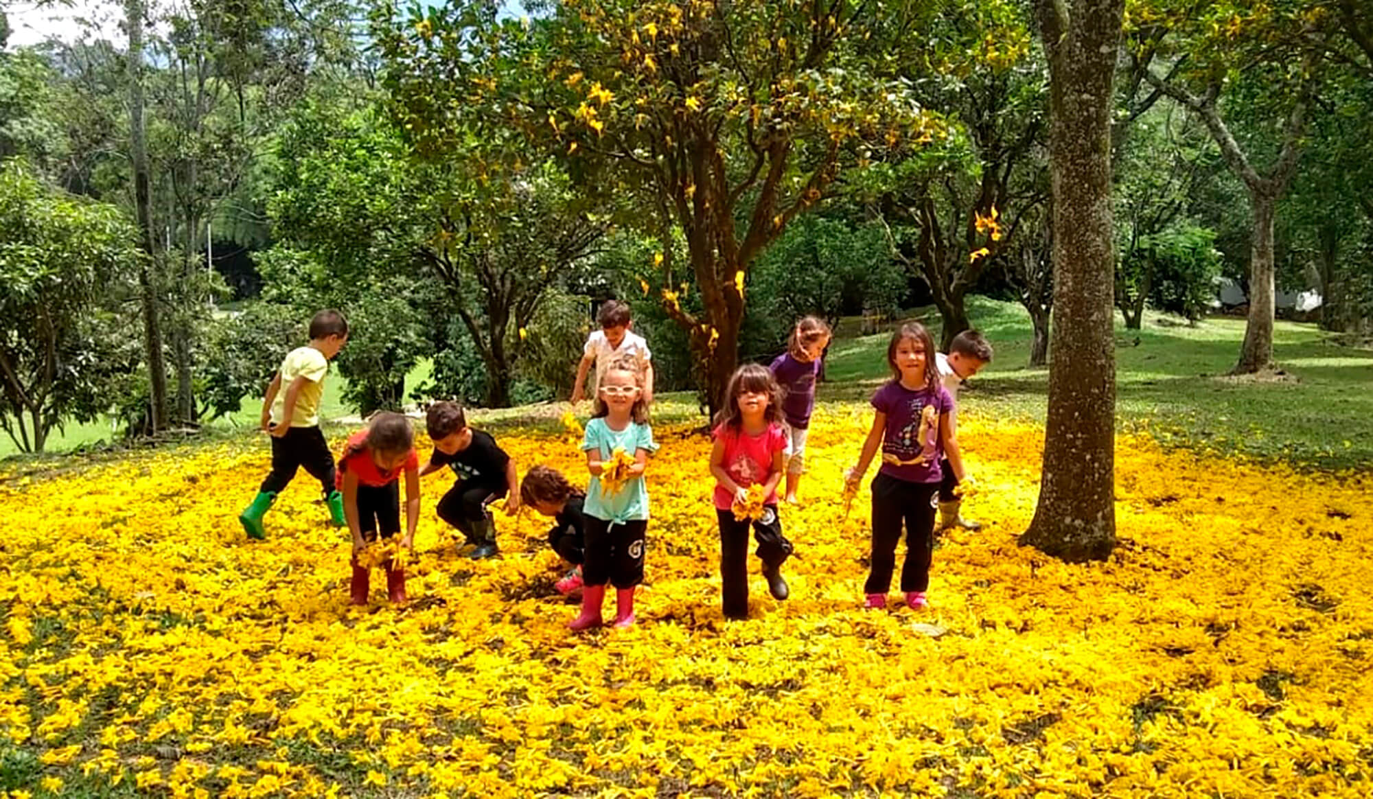 Kindergarten